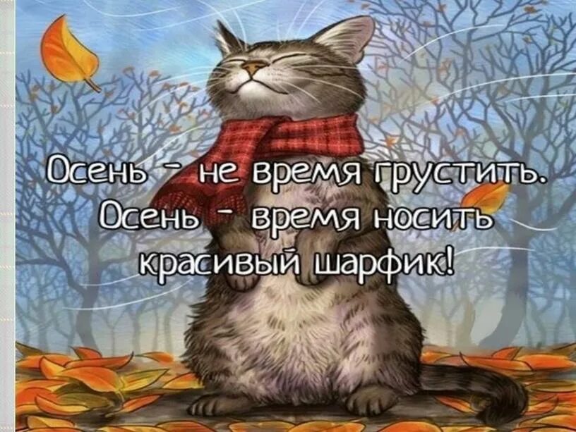 Осень не повод грустить. Осень не повод. Осень время носить красивый шарфик. Осень повод носить шарфик. Виновата осень