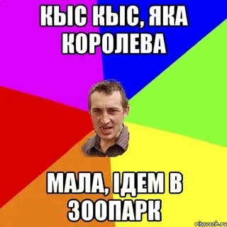 Кіс кіс кіса