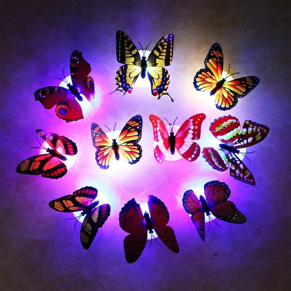 Changes butterfly