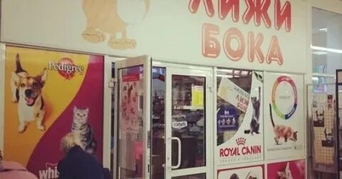 Бока номер телефона
