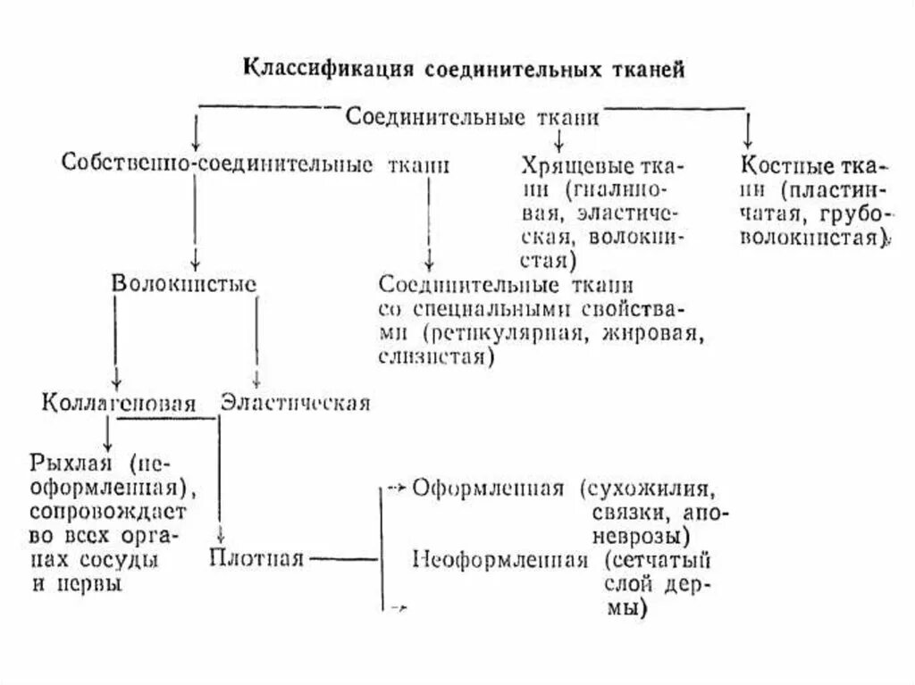 Соединительная ткань классификация функции. Классификация соединительной ткани схема. классификация соединительной ткани таблица. функциональная классификация соединительной ткани. таблица классификация соединительной ткани слизистая.