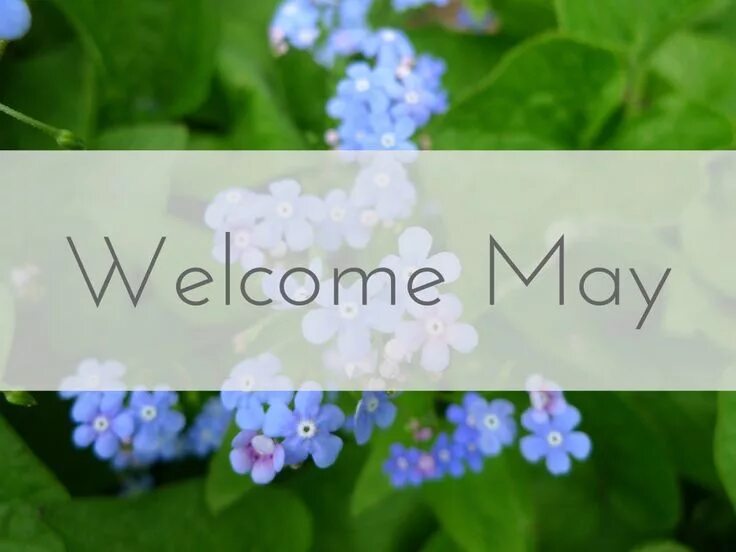 It was the month of may. Welcome may. may картинки. may месяц. hello may картинки.