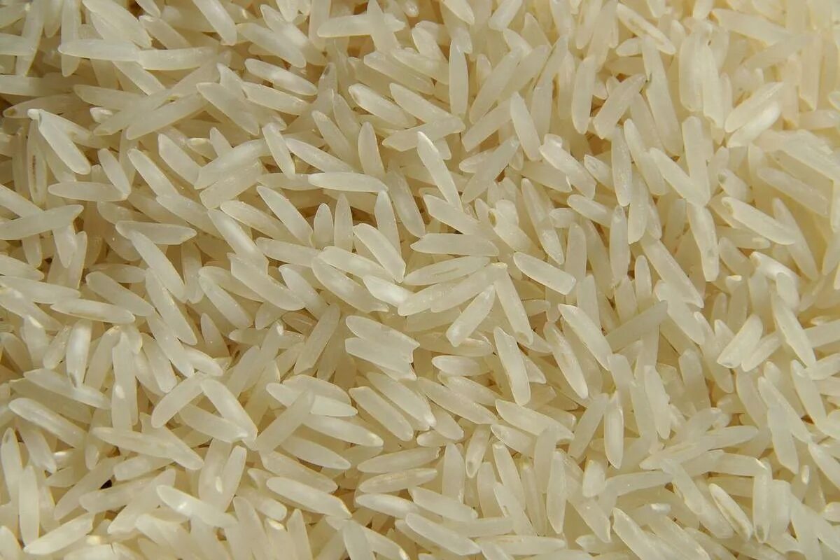 Big rice