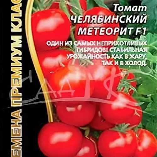 Томат сорта челябинский метеорит. Томат челябинский метеорит. томат спасская башня f1 отзывы.