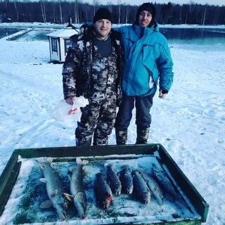 Крх барыбино русфишинг. КРХ деревня Парамоново рыбалка Подмосковье. КРХ Парамоново рыбалка Подмосковье. Парамоново рыбалка. Парамоново платная рыбалка фото трофеев последние.