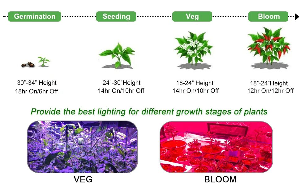 Led grow Light инструкция на русском языке. Драцена гидропоника. Led grow Light инструкция на русском языке 2 ветки. Инструкция по эксплуатации led grow Light на русском языке.