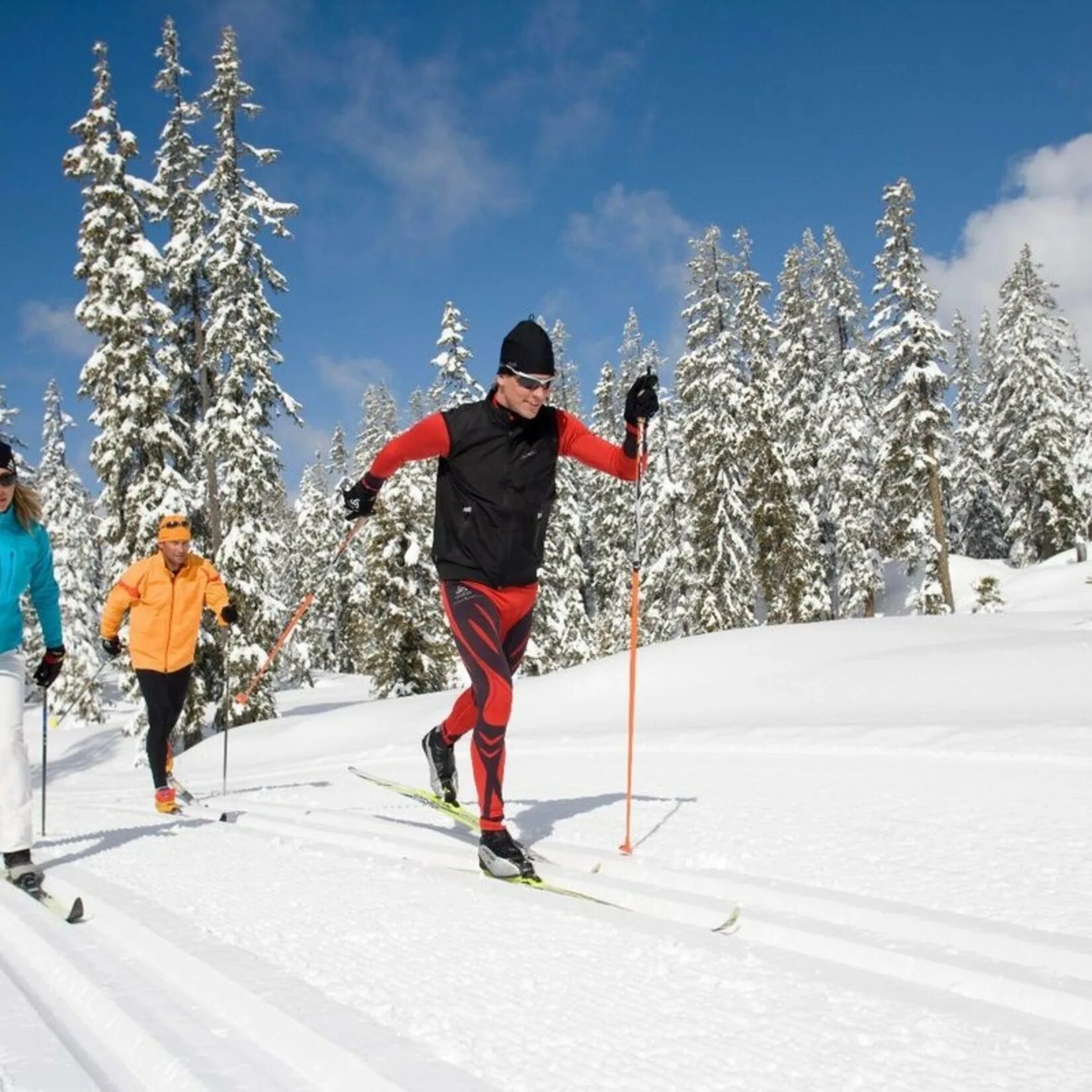 Лыжник. Лыжник в лесу. Cross Country Skiing. Лыжные гонки природа. Skiing cross country skis