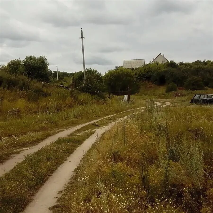 Купить участок в березово. Село берёзово Рамонский район Воронежская область. Пляж село Березово Рамонский. Пляж в Березово Рамонский район. Берёзово набережная 31 Рамонский район.