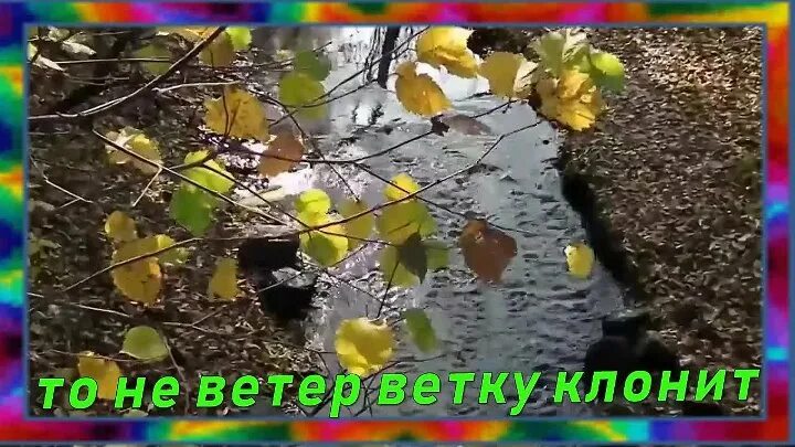 одинокая ветка с иренм. одинокая ветка сирени ноты для гармони. лиля беседина одинокая ветка сирени. одинокая ветка сирени. одинокий запах сирени.