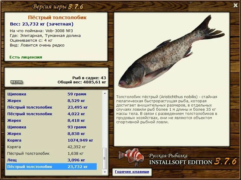 средний вес толстолобика. тугун русская рыбалка 4. толстолобик пестрый реальная рыбалка. ловить толстолобик реальная рыбалка. русская рыбалка 4 толстолоб.