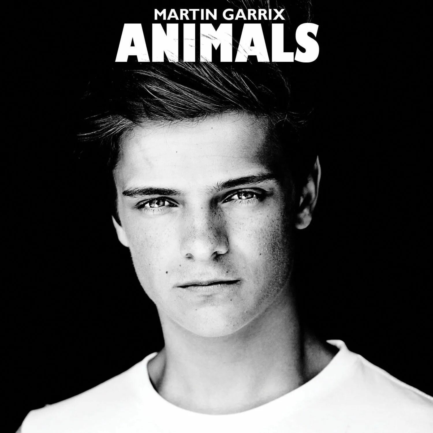 Песня animals martin garrix. Martin Garrix animals.