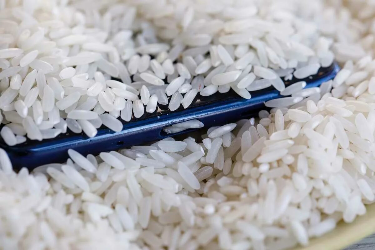 Нужно мыть пропаренный рис. 300 Гр риса. 60 Гр риса. Смартфон в рисе. Рис впитывает влагу.