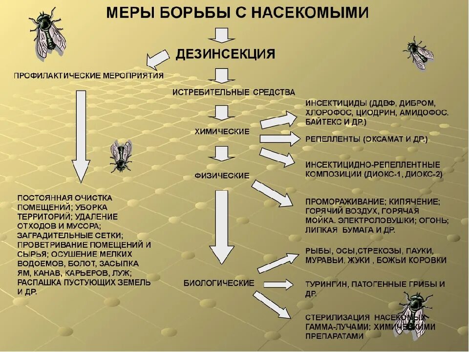 Методы и способы дератизации. Методы дезинсекции. Памятка о дезинсекции. Дезинсекция насекомых памятка. Эффективно борьба с мухами