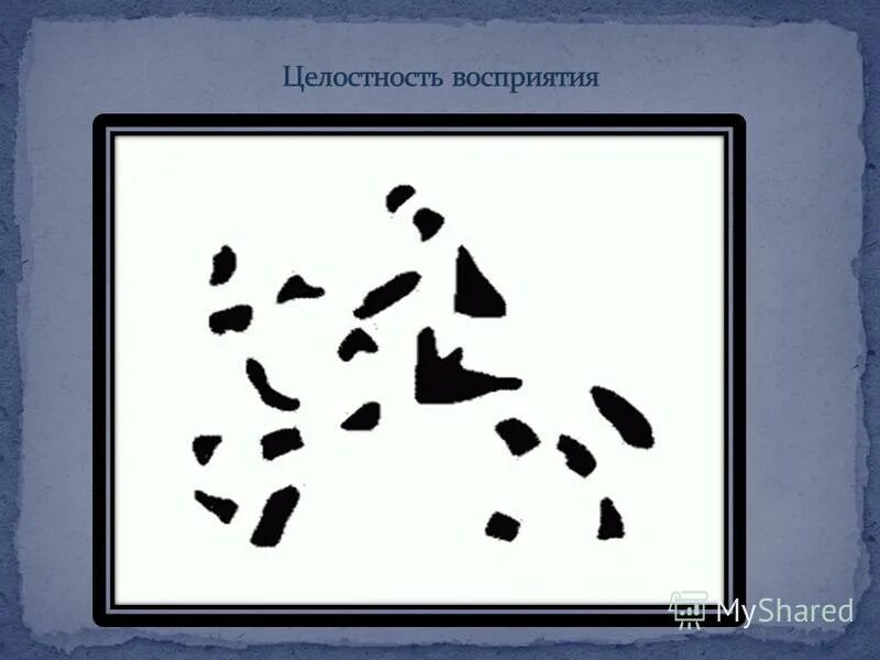 Целостность восприятия примеры. Целостность восприятия картинки. Целостное восприятие пример. Целостность восприятия кар. Целостность восприятия это