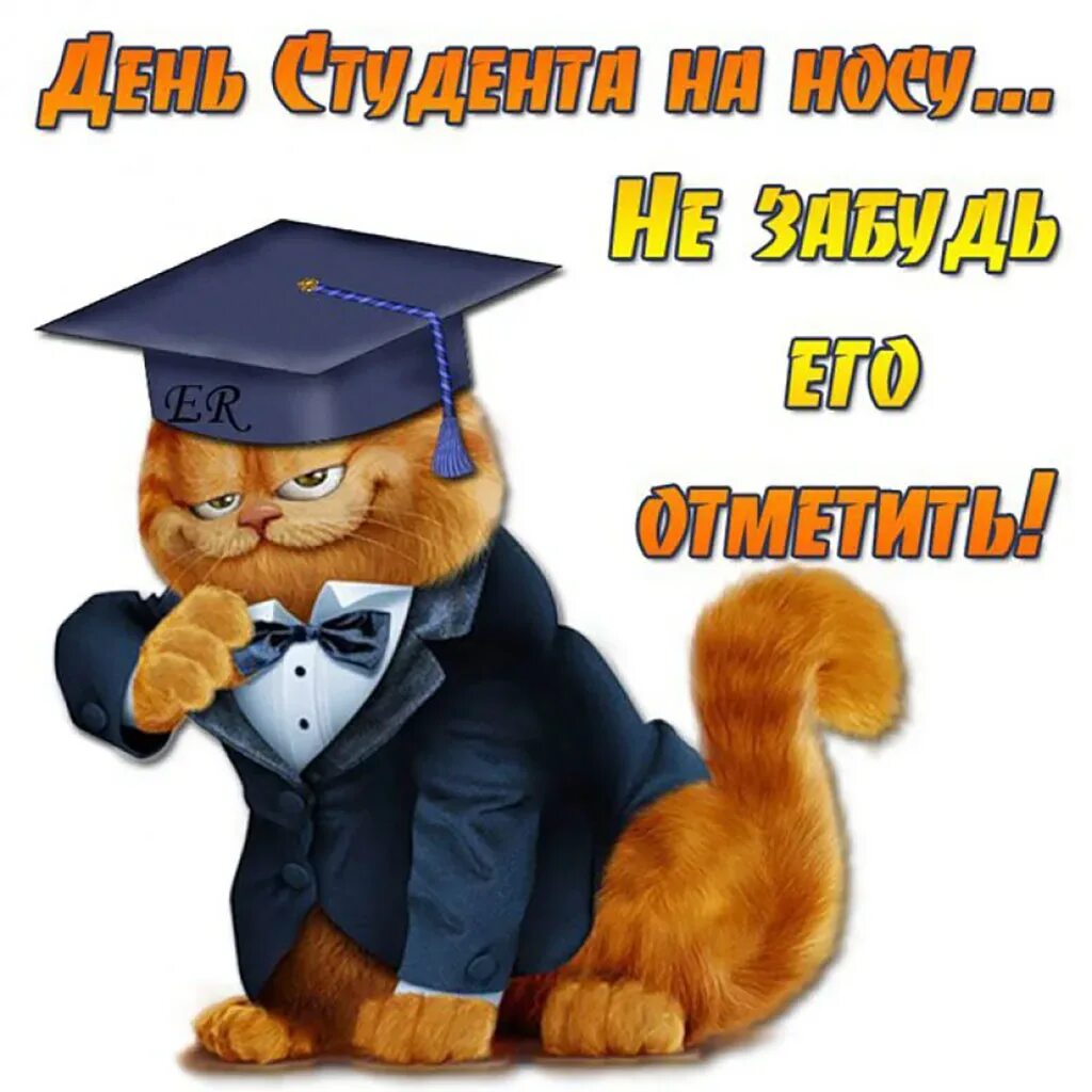 Со днем студента. С днём студента поздравления. классные поздравления с днем студента. с днём студента поздравления прикольные. поздравление с днем студента смешные.