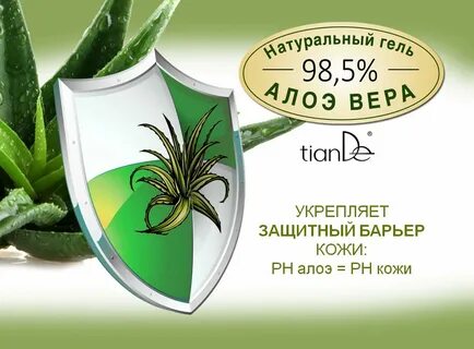 Алоэ интернет