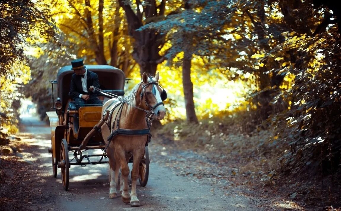 Карета уезжает. Карета зимой. Хейвуд харри живопись повозки карета. Пейзаж 19 век карета кучер. Фриц винтер художник.