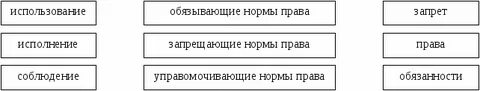 Исполнение правовых норм является свободным