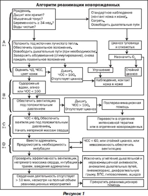 Схема первичной реанимации новорожденного. Реанимация новорожденного при асфиксии алгоритм. Протокол первичной реанимации новорожденных в родзале. Алгоритм первичной реанимации новорожденного.