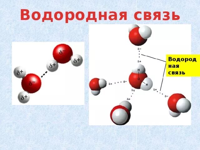 Образующие элементы водородной связи. Водородная связь в химии 11 класс. Конспект водородная химическая связь 11. Соединения с водородными связями. Водородная связь в химии 11 класс.