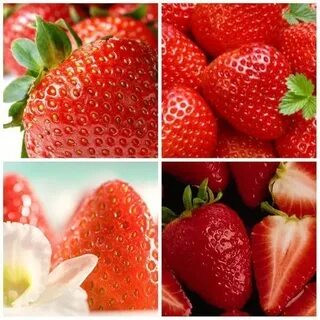 Кислый клубника