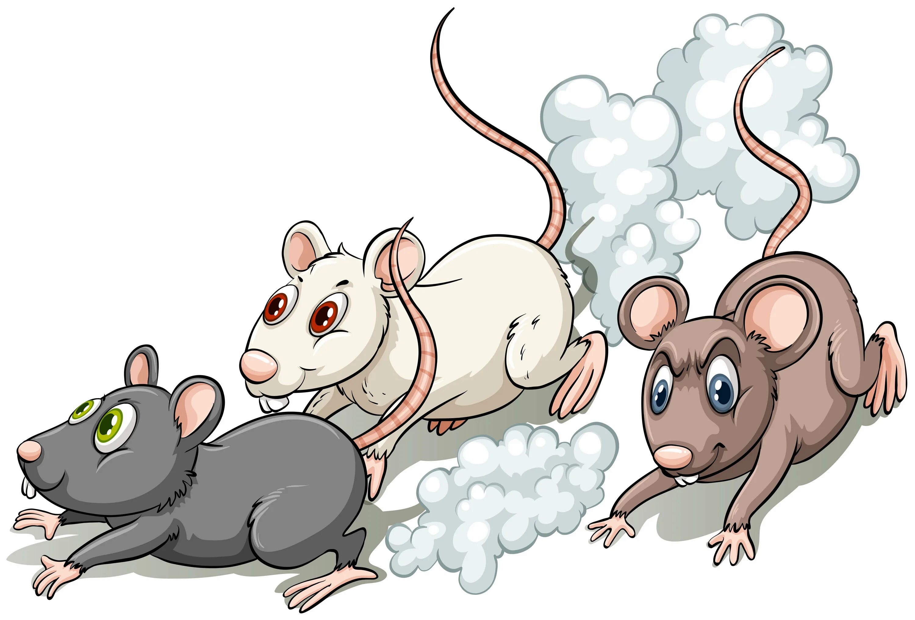Мышь убегает. Крыса мультяшная. Три мышонка. Мыши разбегаются.