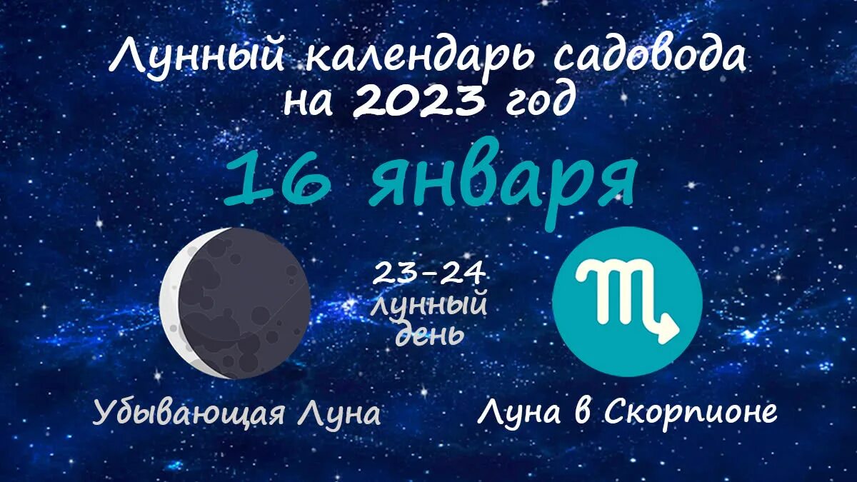 Какой лунный день январь 2023. Какой лунный день январь 2023