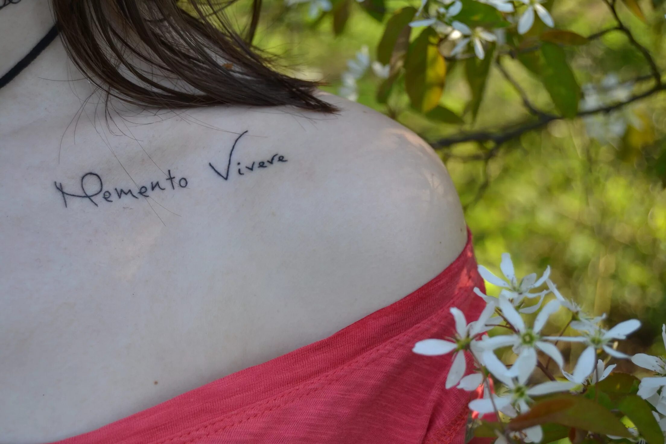 Прекрасный на латыни. Татуировки надписи. Татуировки надписи для девушек. Тату надписи на латыни. Красивые надписи для тату для девушек.