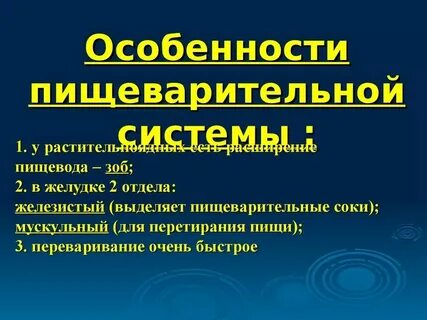 Круглые черви особенности пищеварительной системы органы пищеварения