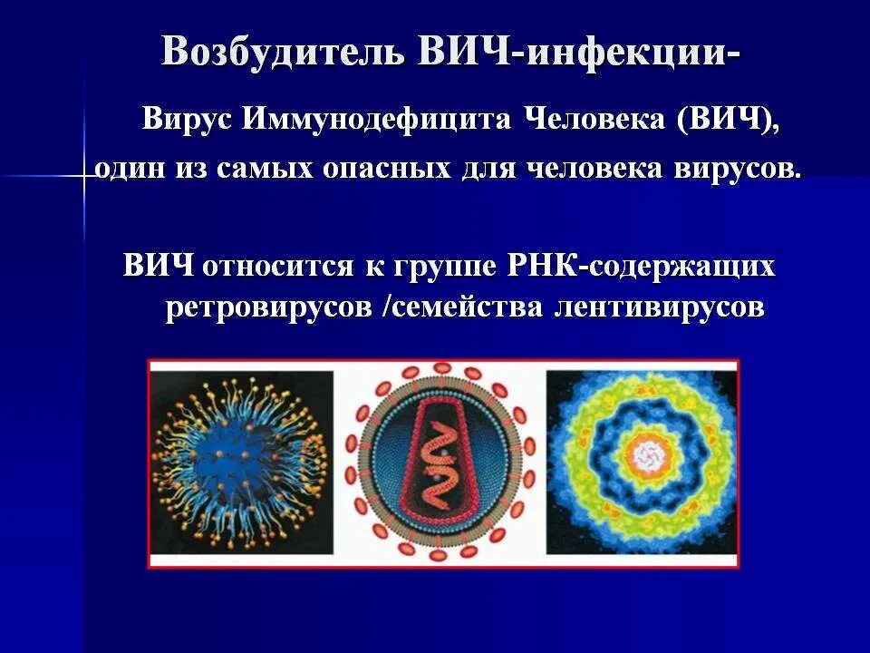 Вирус иммунодефицита человека. Возбудитель ВИЧ инфекции является. Вирус иммунодефицита (ВИЧ). Вирус ВИЧ инфекции относится к группе.