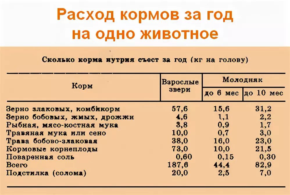 Таблица кормления нутрий зерном. Примерный суточный рацион для нутрий. Нормы кормления нутрий. Суточный рацион нутрии.