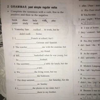 Complete the sentences with affirmative
