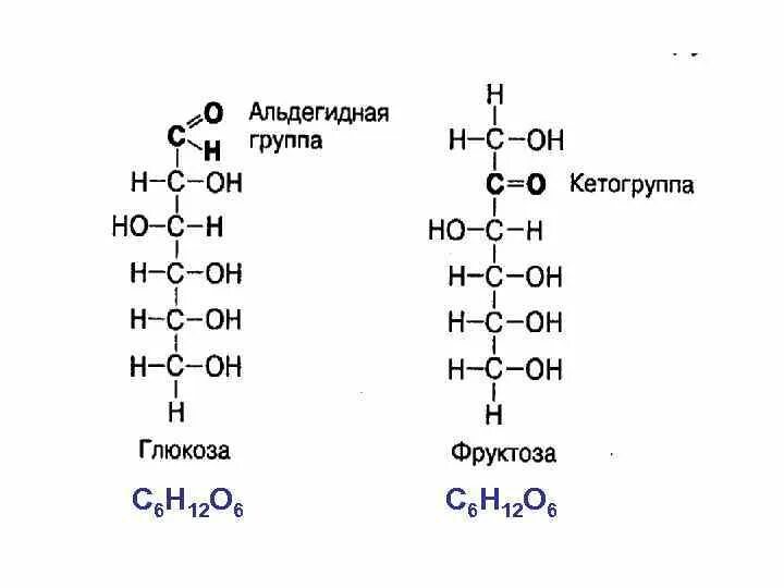 Углеводы Глюкоза общая формула. Глюкоза углевод структурная формула. Углеводы фруктоза Глюкоза. Структура формула Глюкозы. Фруктоза белки