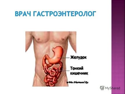 Гастроэнтеролог это врач