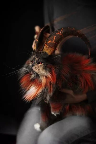 Рогатый кот. Коты демоны. кошка демон. кошка с рогами. дьявольский кот.