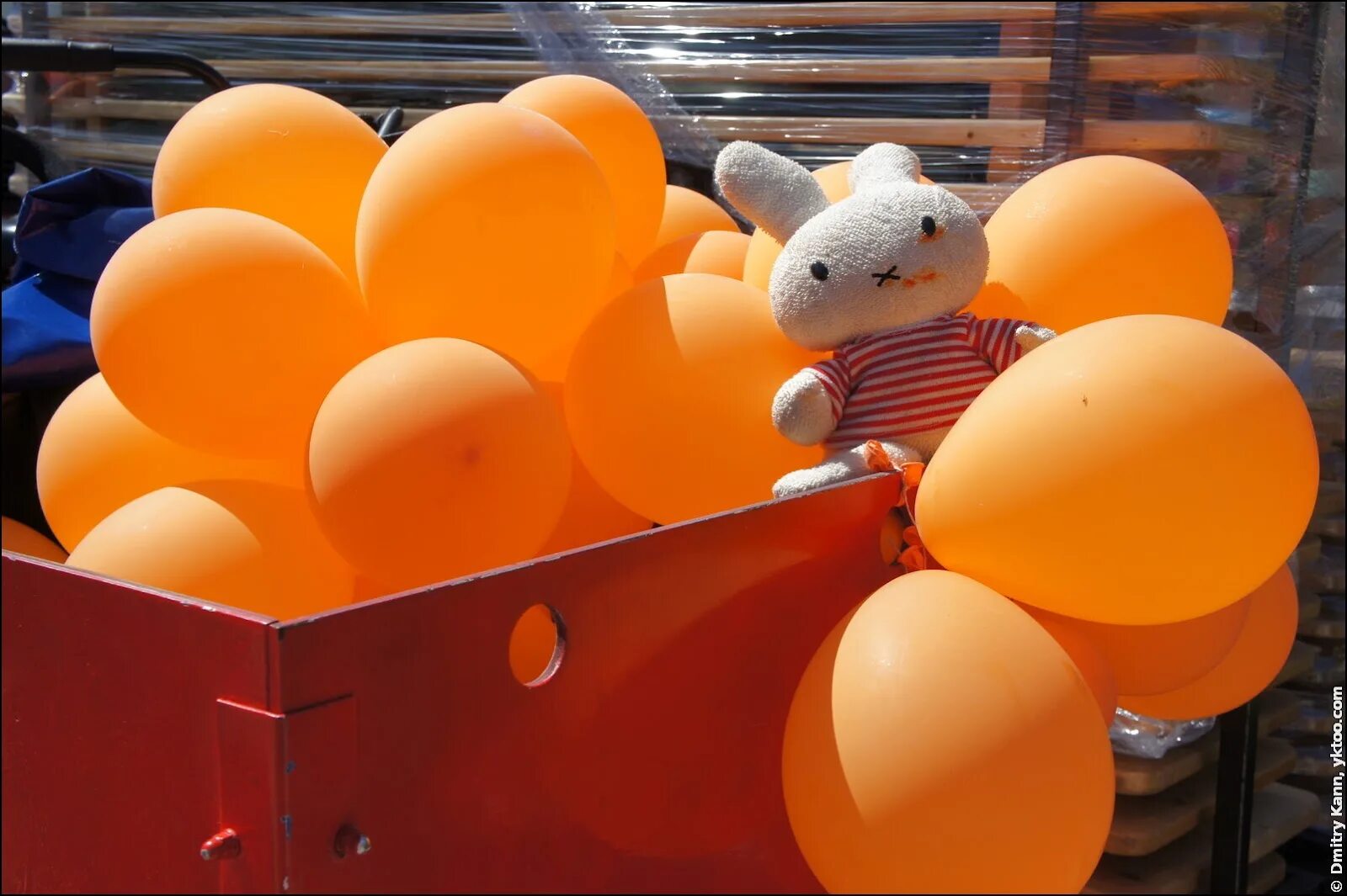 На оранжевом шаре. Оранжевый шарик. Оранжевые шары. Ярко оранжевые шары. Оранжевые шары и подарок.