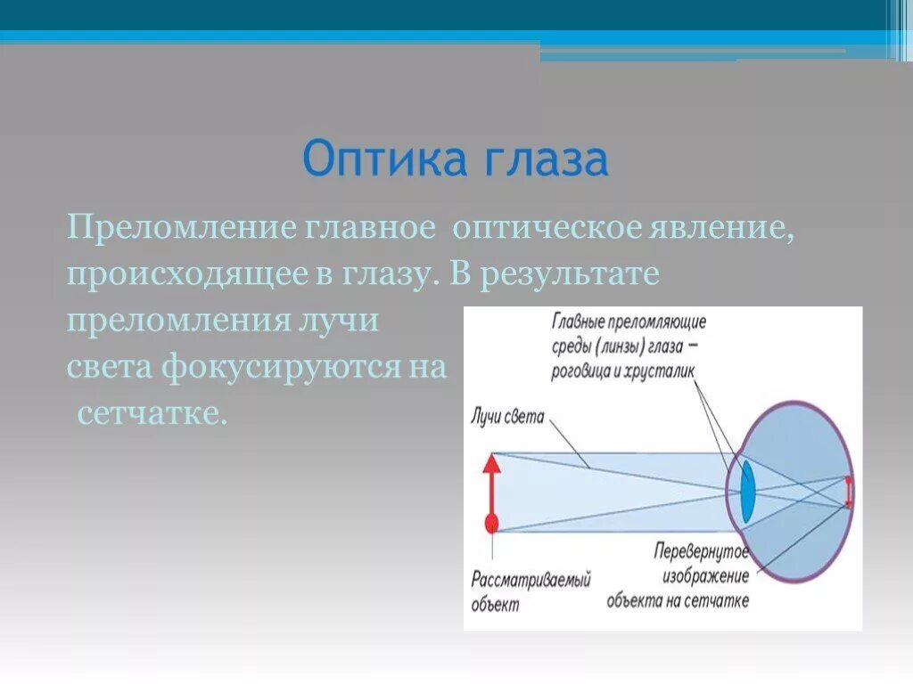 Ход лучей глаза человека. Орган зрения проламляющмй световые лучи. Ход световых лучей в глазу. Преломление лучей в глазу. Преломление световых лучей.