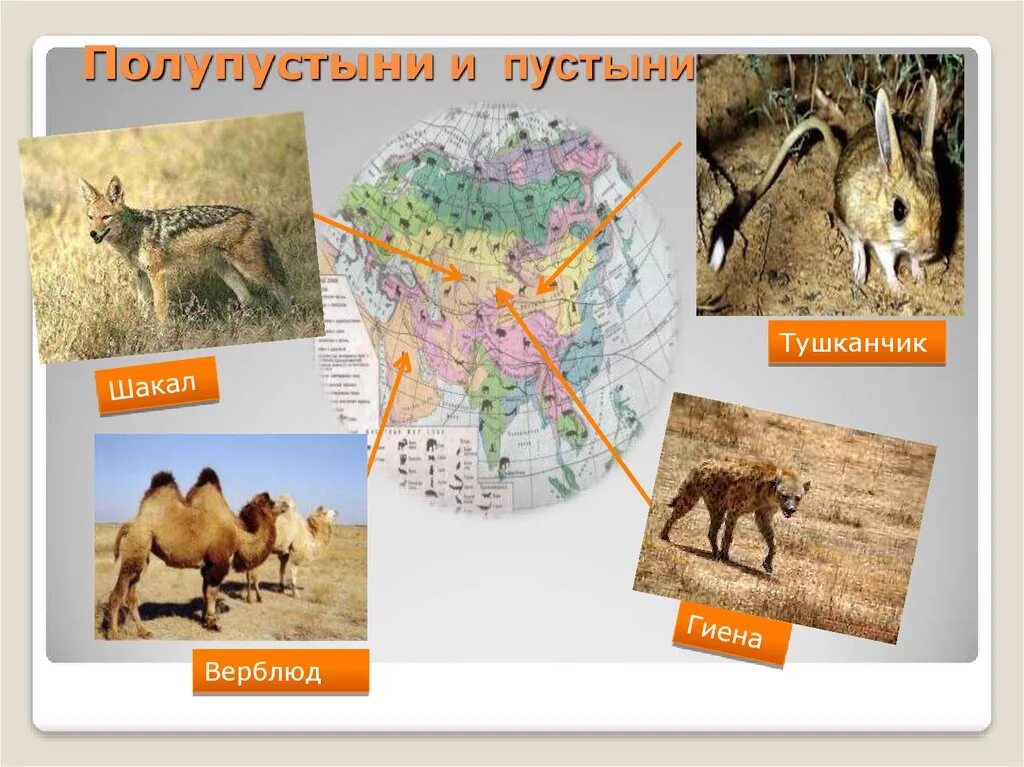 Пустыни на материке евразия. Животный мир пустынь и полупустынь Евразии. Пустыни и полупустыни Евразии растения и животные. Животный мир в пустынях и полупустынях в Евразии. Растительность пустынь и полупустынь Евразии.