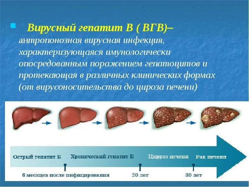 Источник инфекции при вирусном гепатите а. Вирусный гепатит с характеризуется. вирусный гепатит в антропонозная. вирус гепатита в в гепатоците. источник вгв.