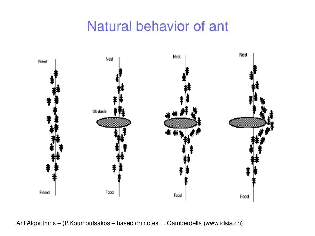 Natural behavior