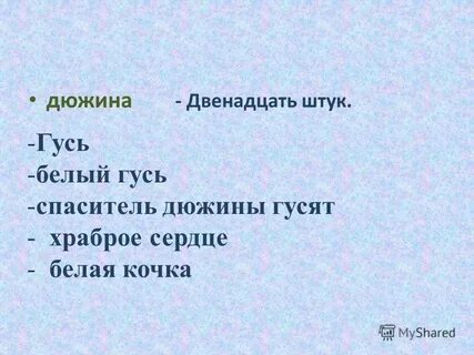 Изложение белый