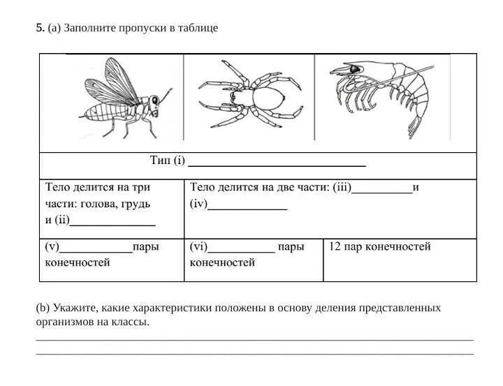 Сор 3 биология 9 класс