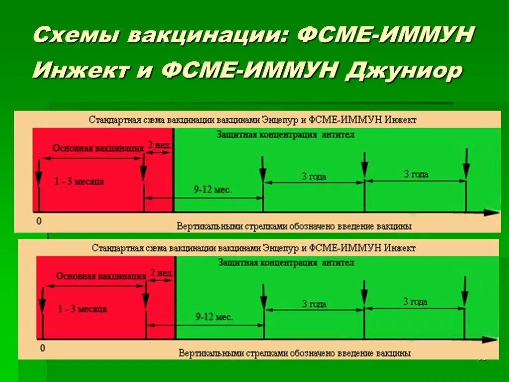 Экстренная вакцинация от клещевого энцефалита. ФСМЕ-иммун схема вакцинации. Вакцинация от клеща схема. Схема вакцинации от клещевого. Вакцина ФСМЕ-иммун инжект/Джуниор.