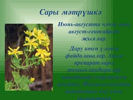 Сары с татарского на русский