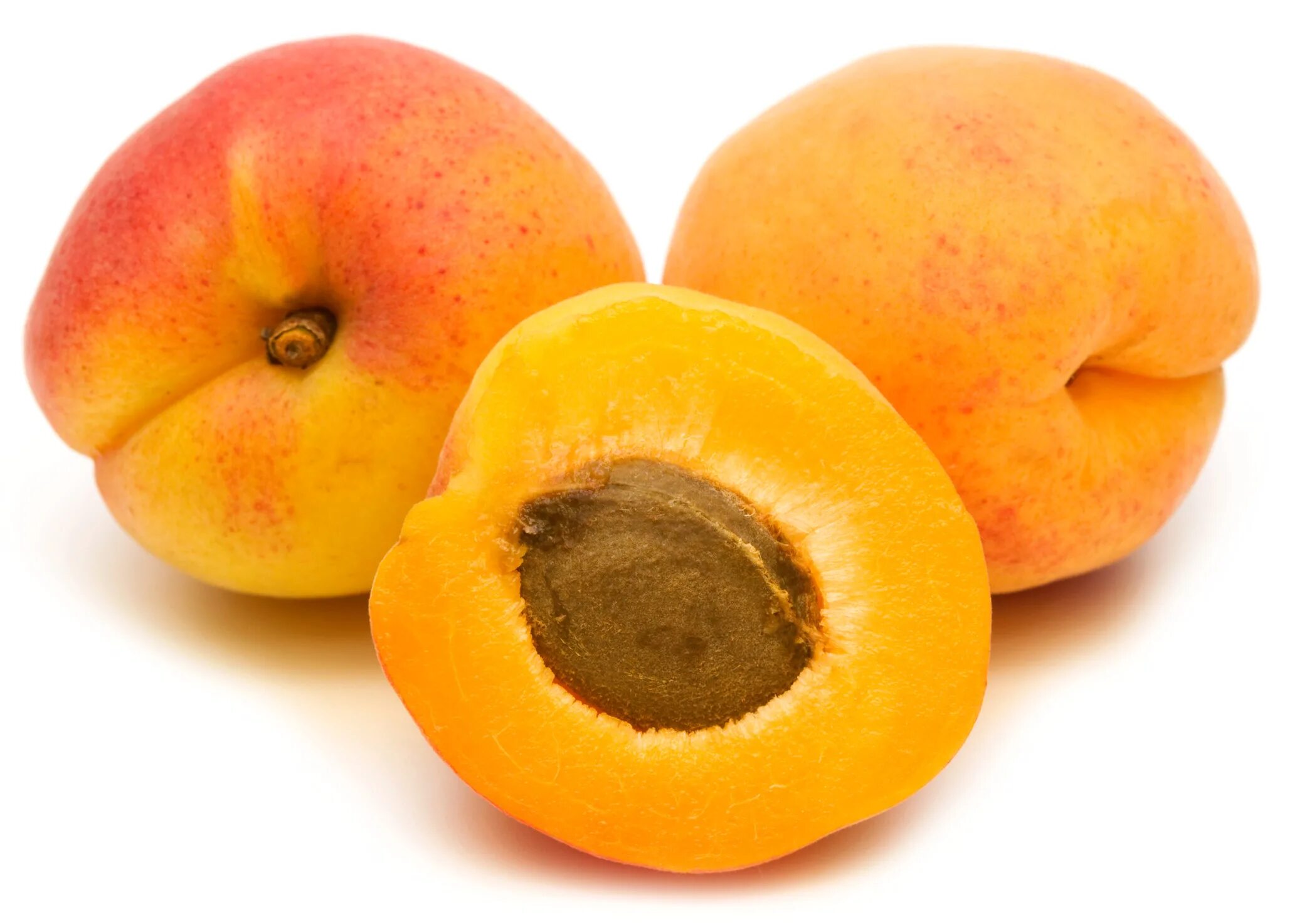 Apricots findlay