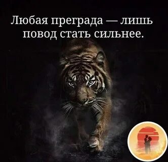 Любая преграда