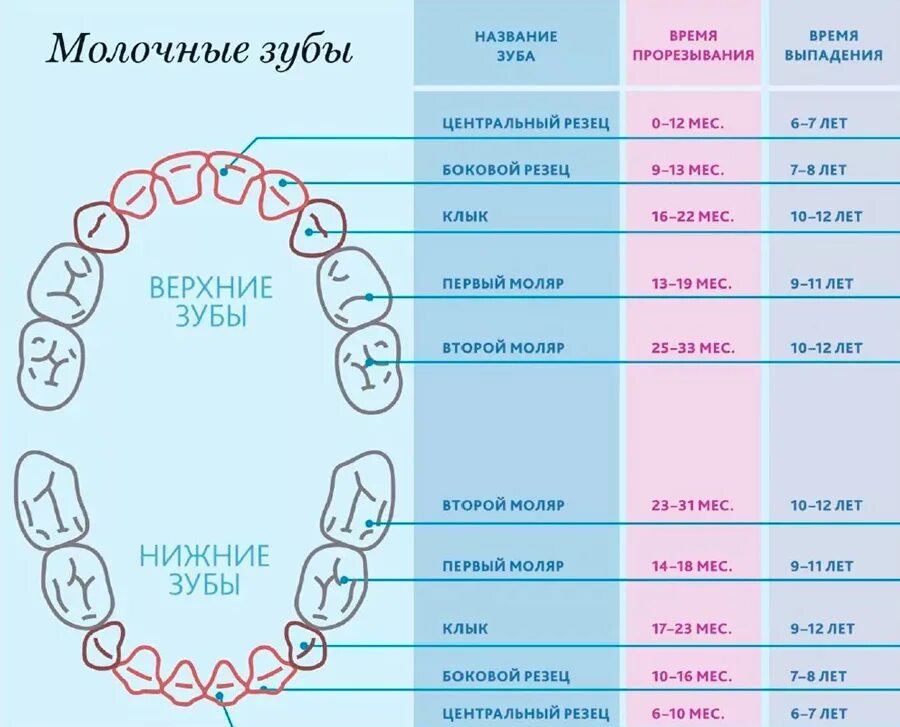 Температура на клыки