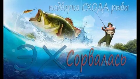 Удочка золотая рыбка