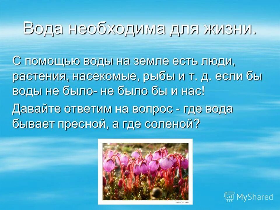 для жизни на земле необходимы