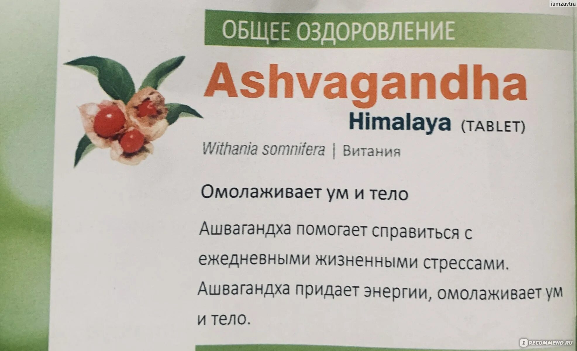 Как пить ашваганду. Ашваганда Гималаи таблетки. Himalaya Ashvagandha состав. Ашваганда Хималая дозировка. Ашваганда Хималая состав препарата.